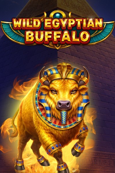 Wild Egyptian Buffalo