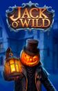 Jack O'Wild