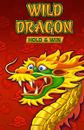 Wild Dragon HOLD & WIN