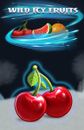 Wild Icy Fruits