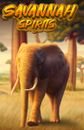 Savannah Spirits